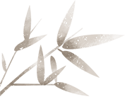 物馆之夜剧本杀活动顺利举办澳门新葡京网页青春有约·博
